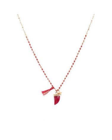 Collier etoile et corne rouge