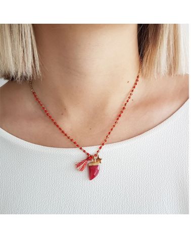 Collier etoile et corne rouge