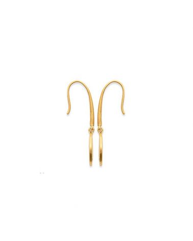 Boucles d'oreilles médaille brossée étoile (zircon)