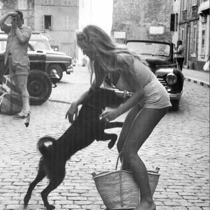 brigitte bardot panier