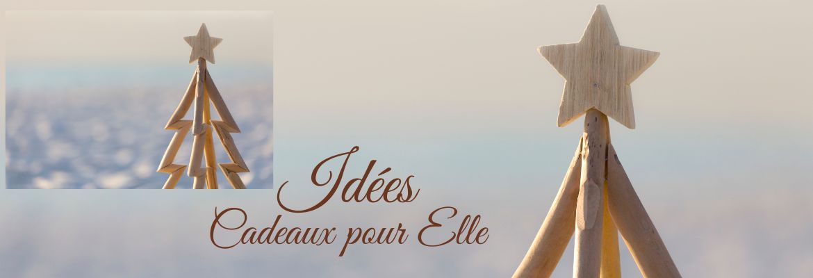 Idée Cadeau Noël