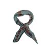 Foulard Plissé Imprimé Baroque