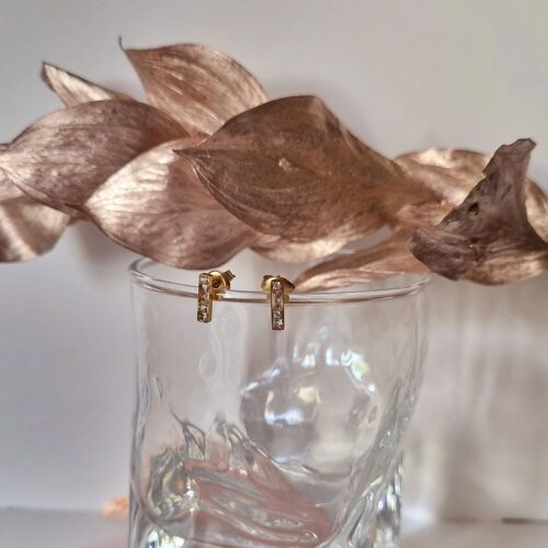 puces d'oreilles honoré zirconium bohm