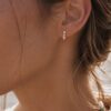 puces d'oreilles honoré rose puces d'oreilles honoré rose
